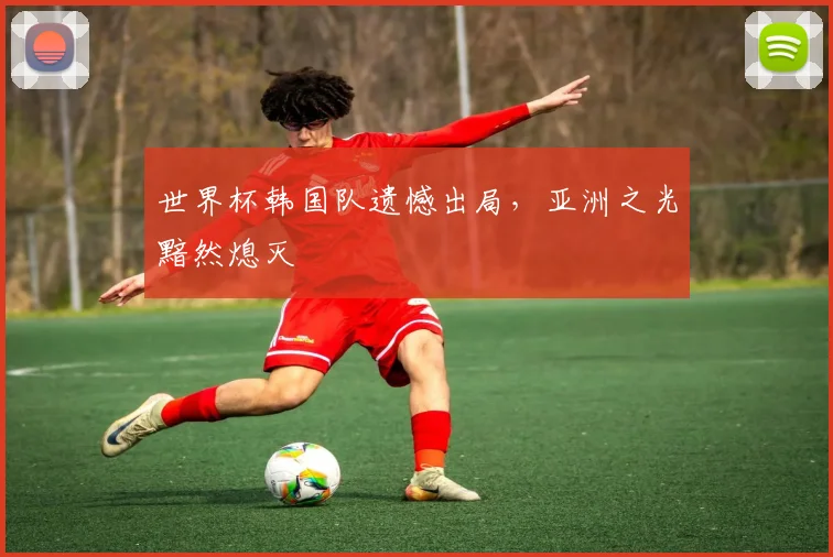 世界杯韩国队遗憾出局,亚洲之光黯然熄灭